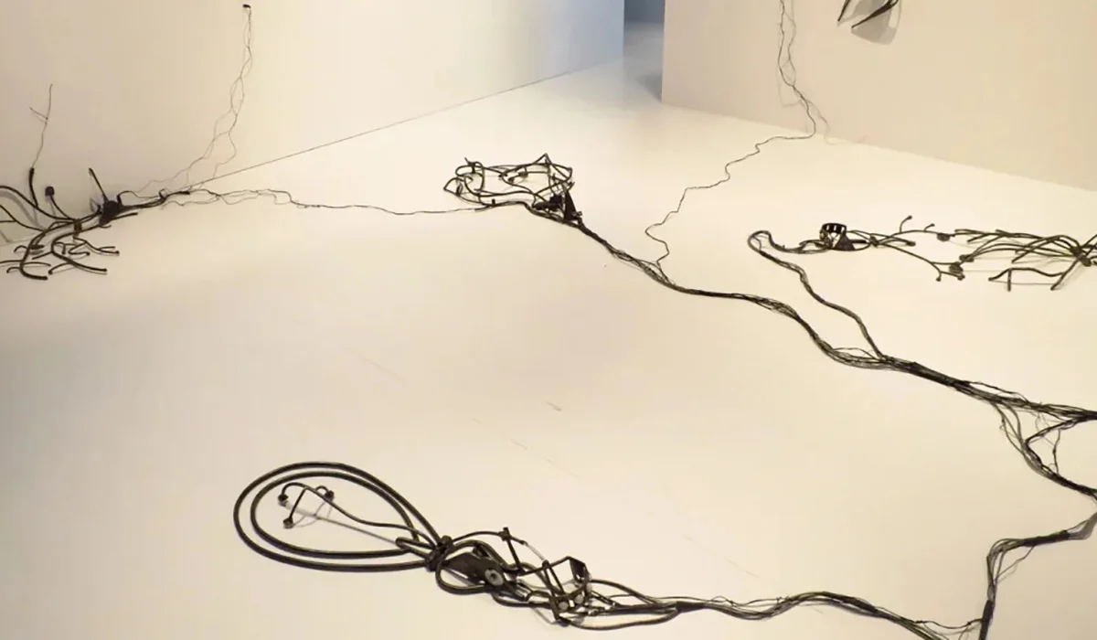 Photo de l'oeuvre Peripheral Response de Jane Tingley. Série de câbles noirs déposés sur un sol blanc.