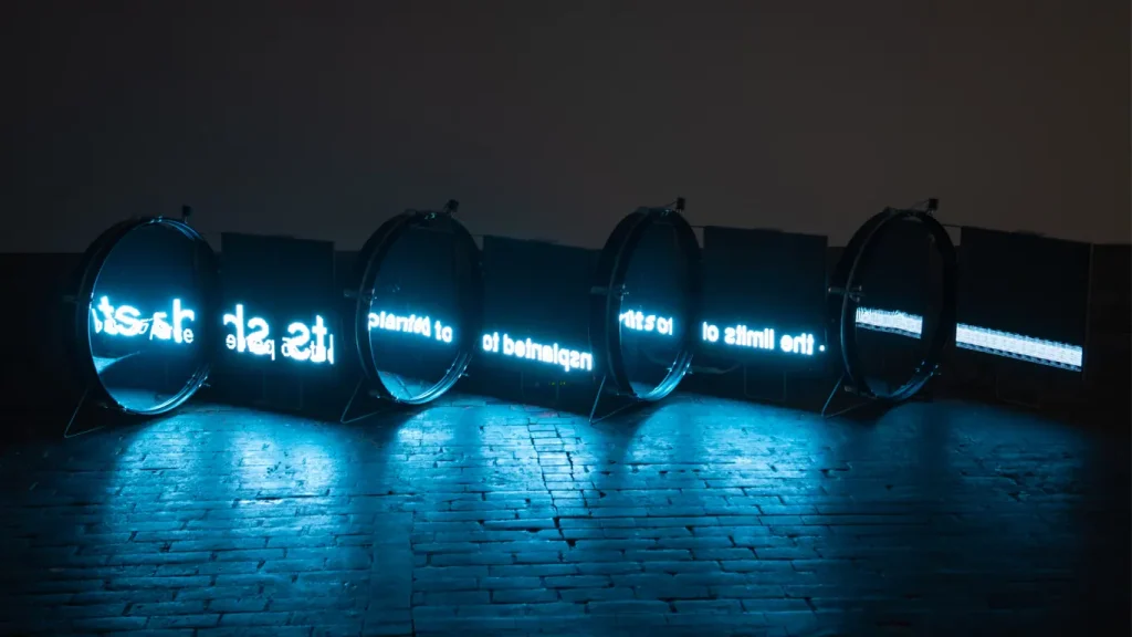 Lukas Truniger & Nicola L. Hein, Membranes, 2017 For the Dead-Web exhibition at Mapping Festival in Geneva, Switzerland, 2019. Co-produced by Mapping Festival and Molior.
