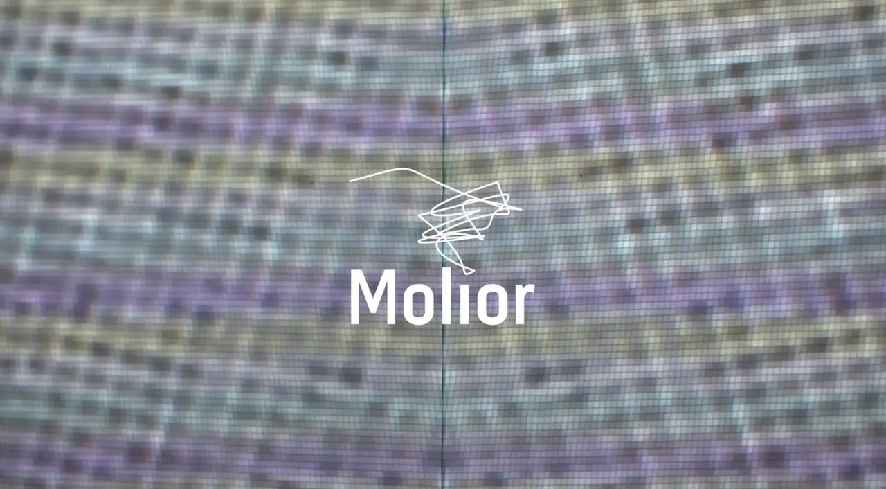 molior-logo-thumbnail