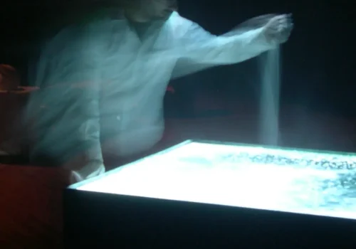 Un spectateur interagissant avec l'œuvre Magnitudes, par François Quévillon, réalisée en 2006. Installation vidéo interactive.